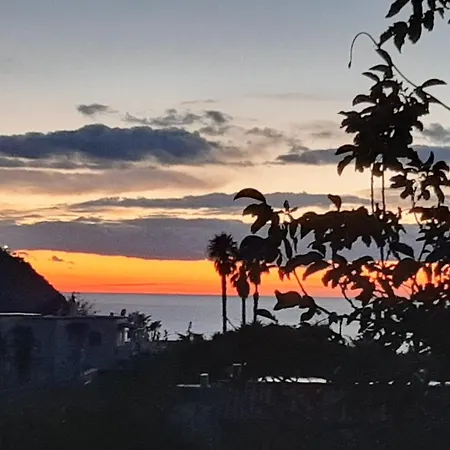 Il Vitigno Di Dioniso Hotel