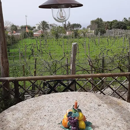 Il Vitigno Di Dioniso Forio (Isola d'Ischia)